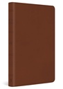 ESV Large Print Value Thinline Bible Camel I/L