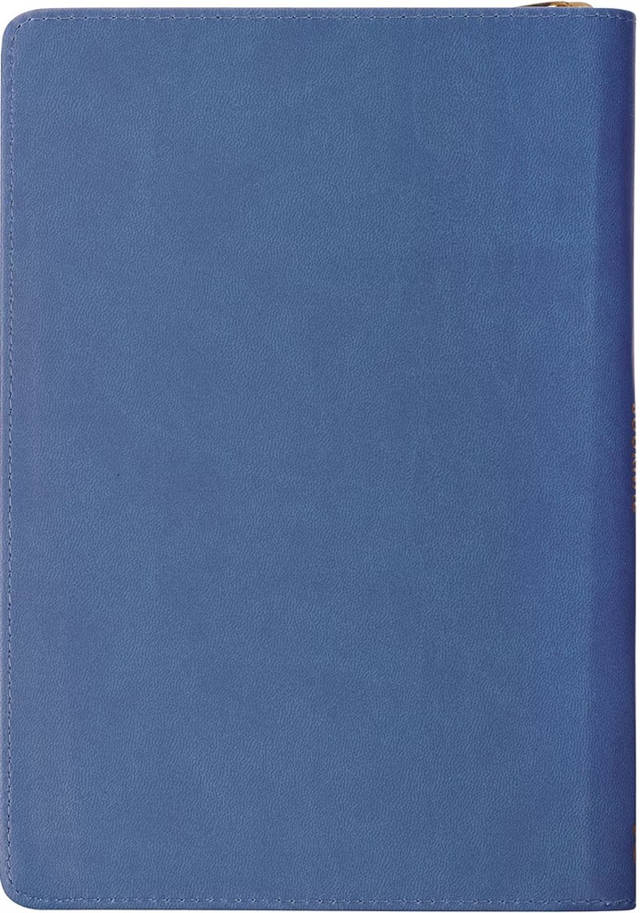 Journal Love John 3:16 Blue Floral Tile Zip (01/25)