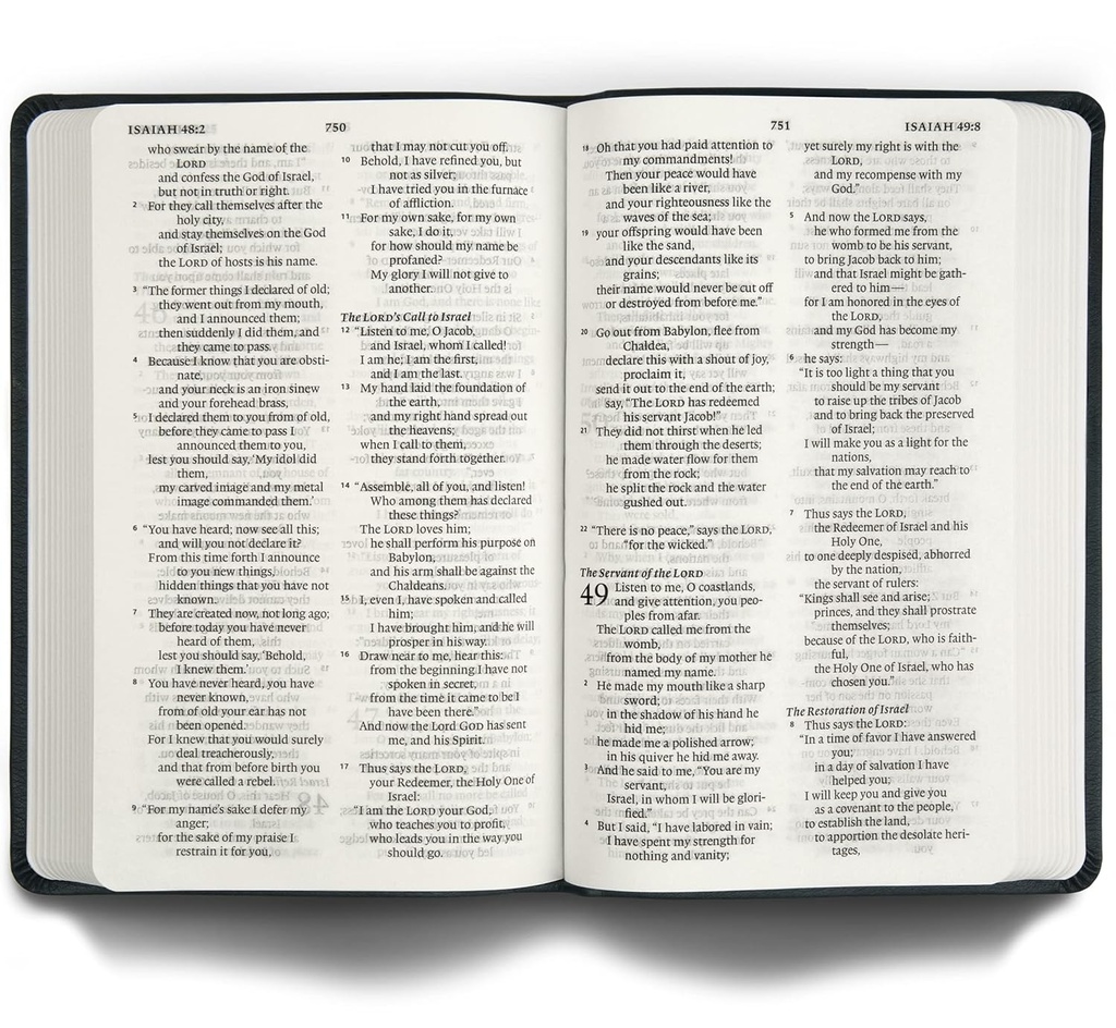 ESV Large Print Value Thinline Bible Camel I/L