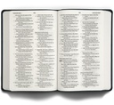ESV Large Print Value Thinline Bible Camel I/L