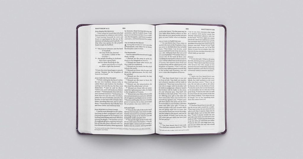 ESV Large Print Value Thinline Bible Lavender I/L