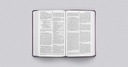 ESV Large Print Value Thinline Bible Lavender I/L