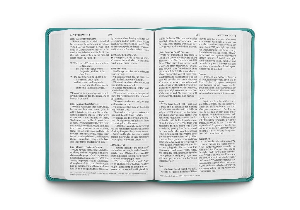 ESV Large Print Value Thinline Bible Turquoise I/L