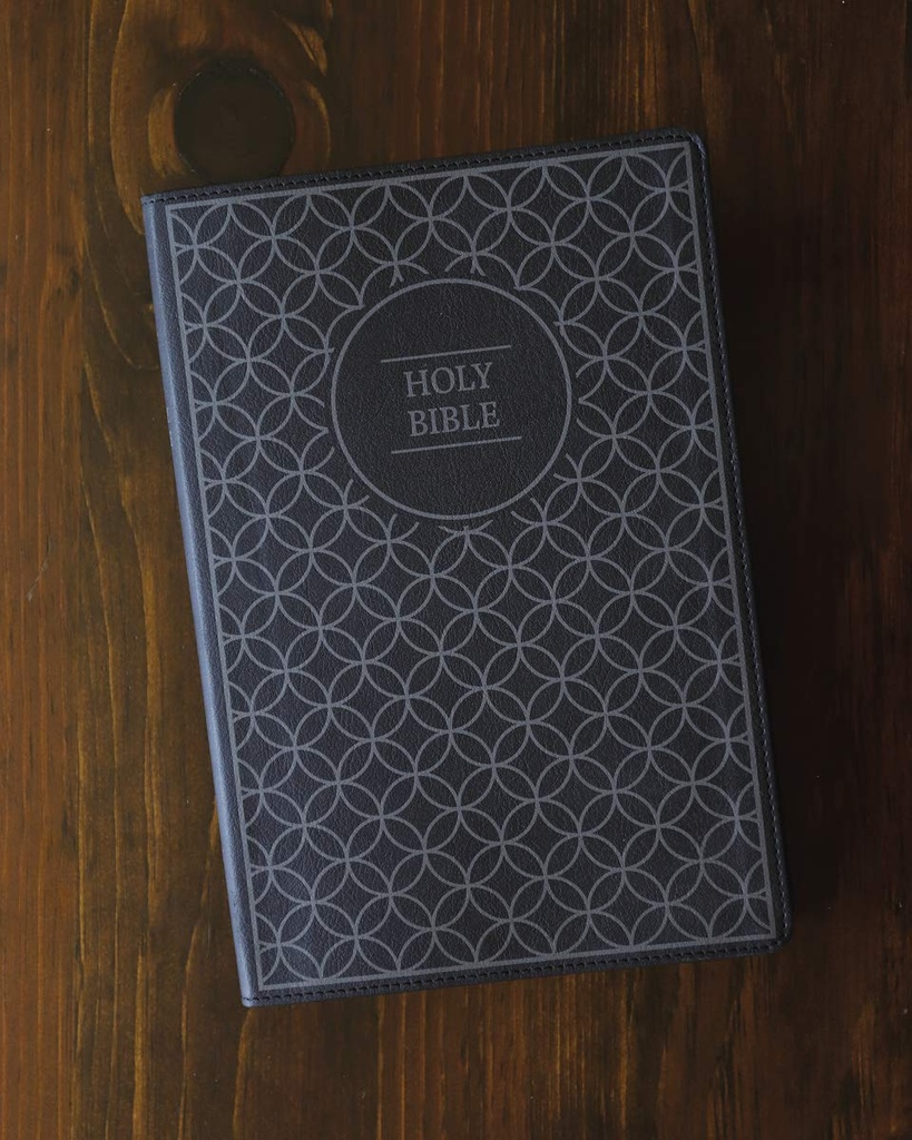 NIV Value Thinline Bible Large Print Gray/Black I/L