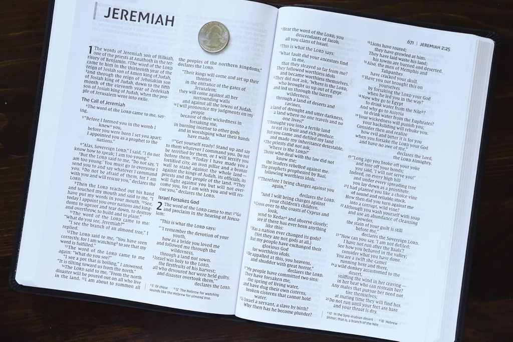 NIV Value Thinline Bible Large Print Gray/Black I/L