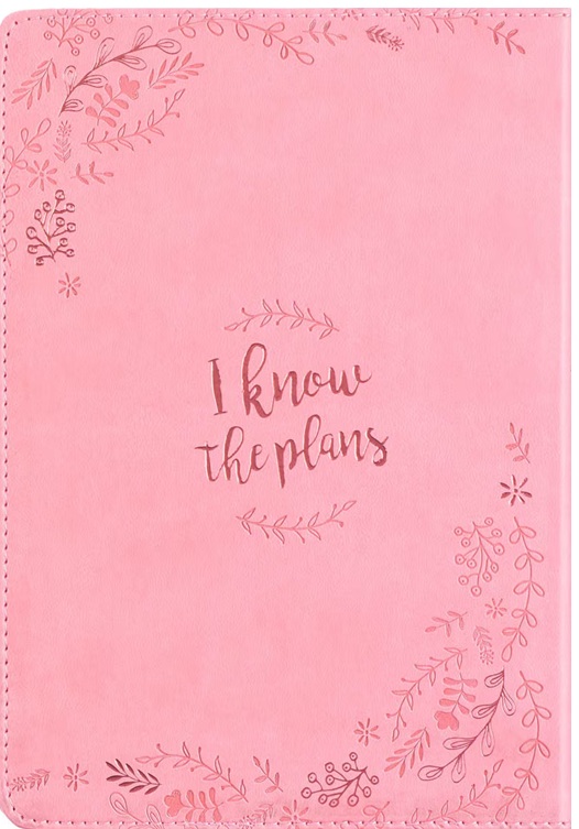 Journal Plans Prosper Future Pale Pink Luxleather