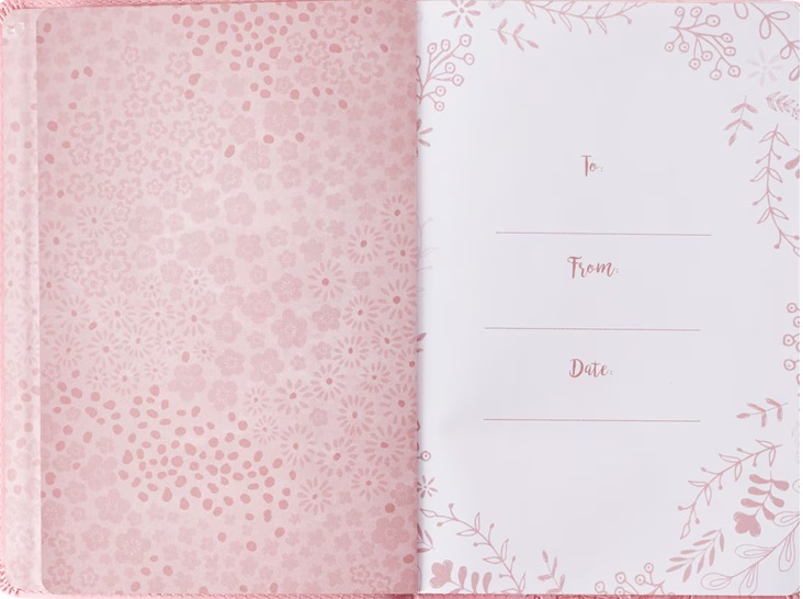 Journal Plans Prosper Future Pale Pink Luxleather