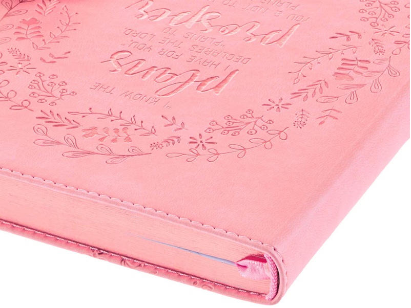 Journal Plans Prosper Future Pale Pink Luxleather
