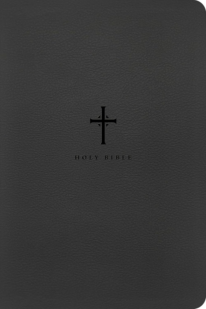 NLT Bible Large Print Premium Value Thinline Filament Blac