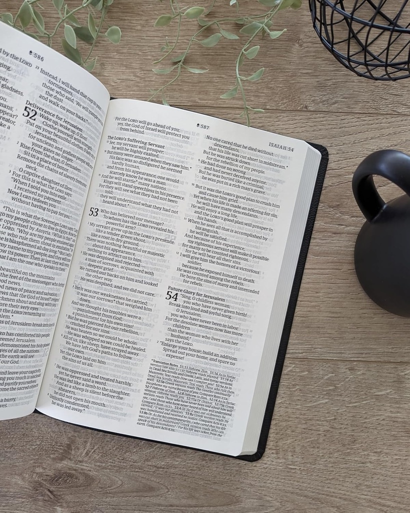 NLT Bible Large Print Premium Value Thinline Filament Blac