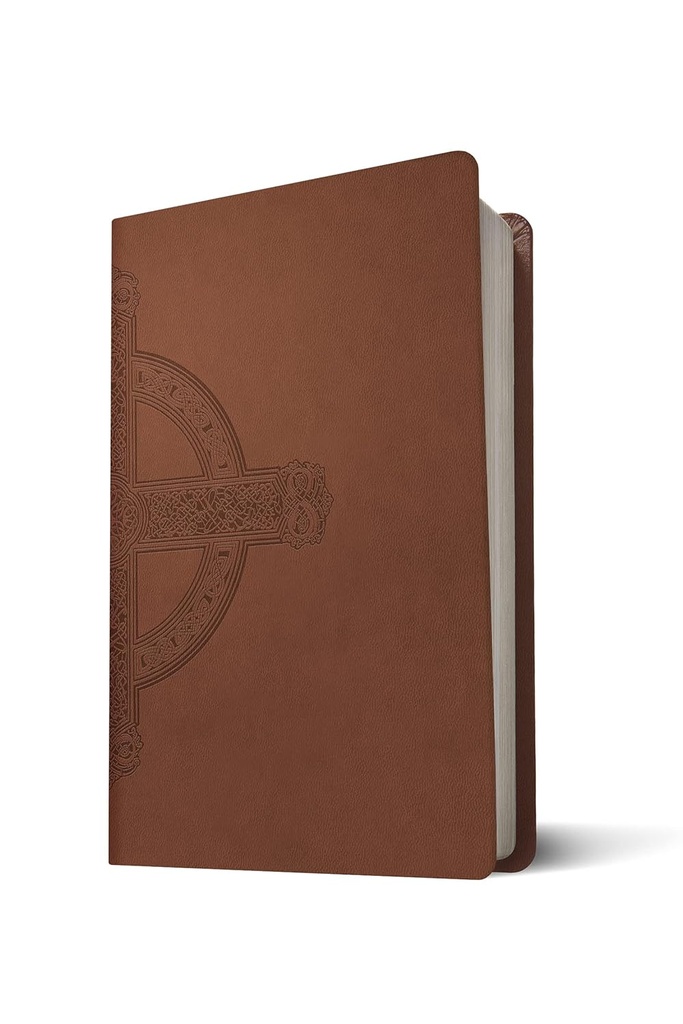 NLT Bible Large Print Premium Value Thinline Filament Brown