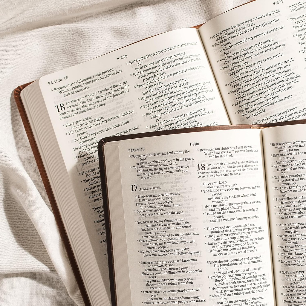 NLT Bible Large Print Premium Value Thinline Filament Brown