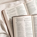 NLT Bible Large Print Premium Value Thinline Filament Brown