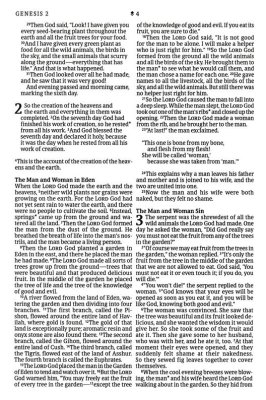 NLT Bible Large Print Premium Value Thinline Filament Pink