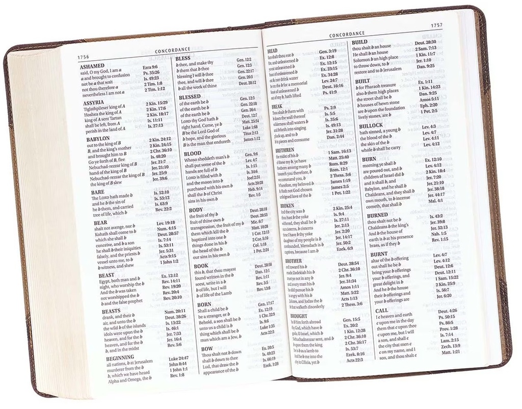 KJV Bible Giant Print Walnut & Tan LuxLeather