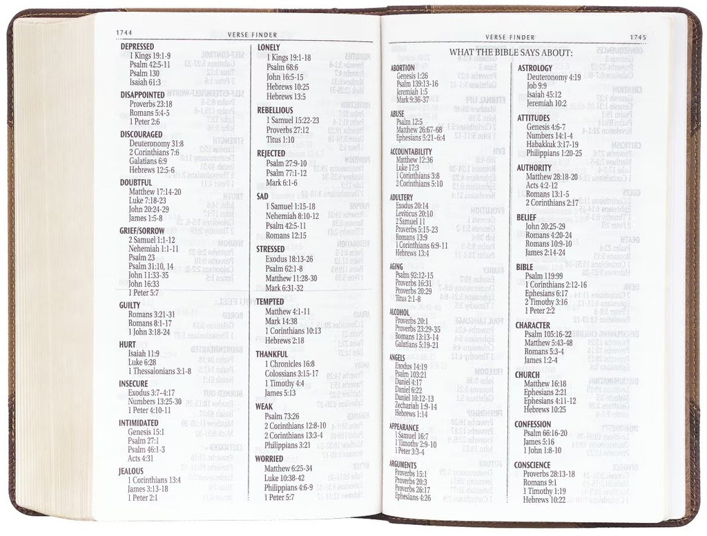 KJV Bible Giant Print Walnut & Tan LuxLeather