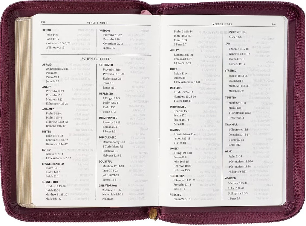 KJV Compact Bible Burgundy Debossed Zip