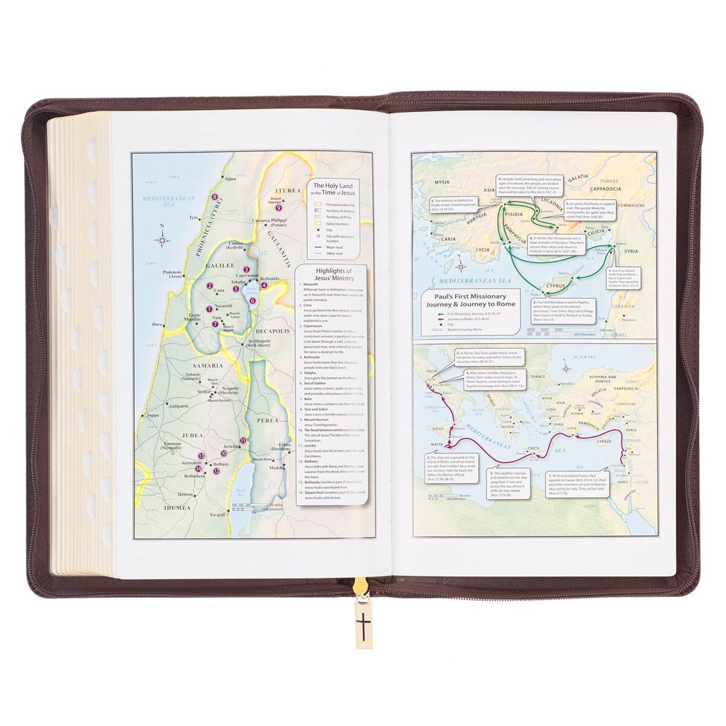 KJV Deluxe Gift Brown Lion Luxleather Index