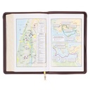 KJV Deluxe Gift Brown Lion Luxleather Index