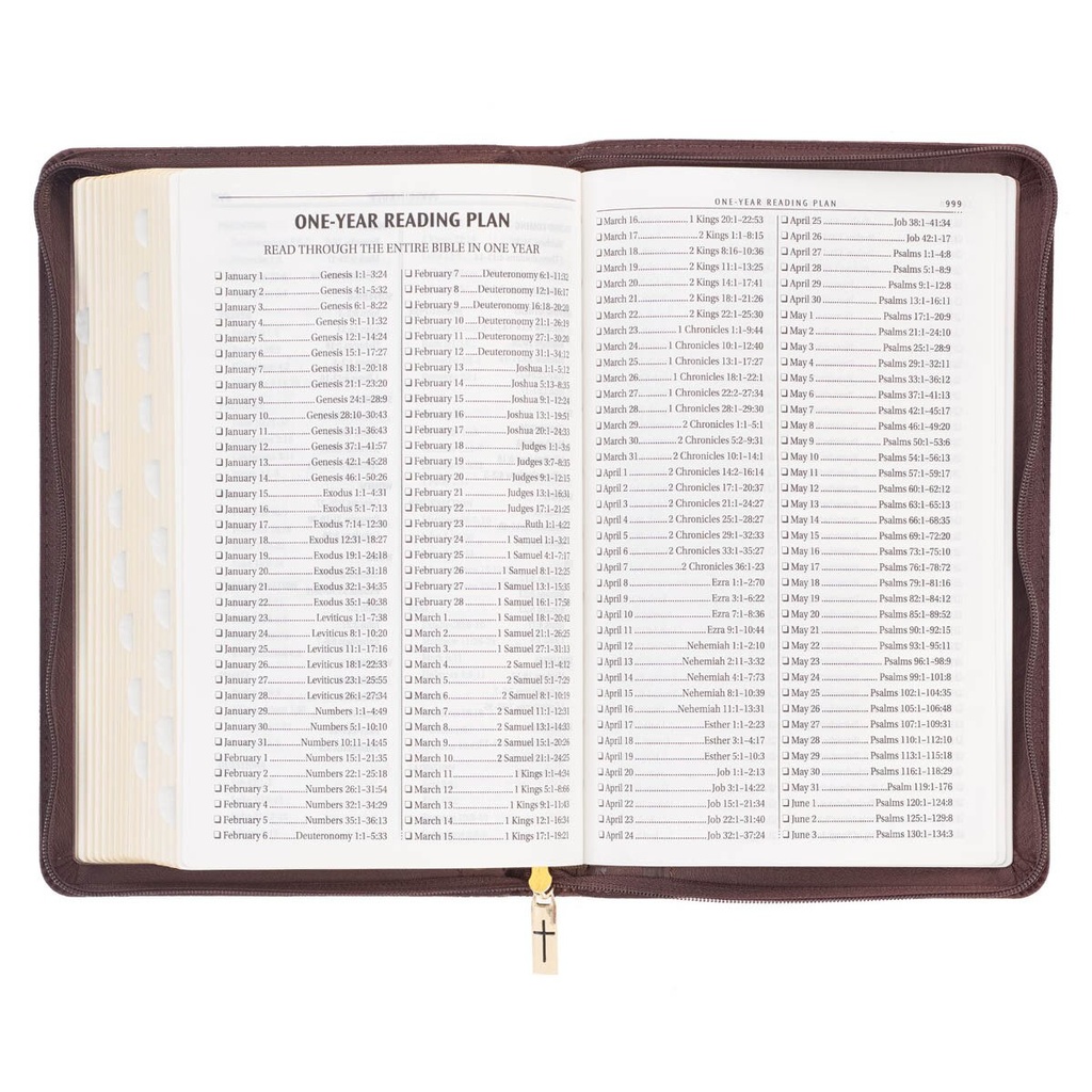 KJV Deluxe Gift Brown Lion Luxleather Index