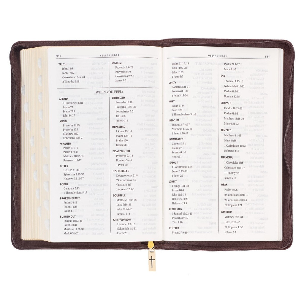 KJV Deluxe Gift Brown Lion Luxleather Index