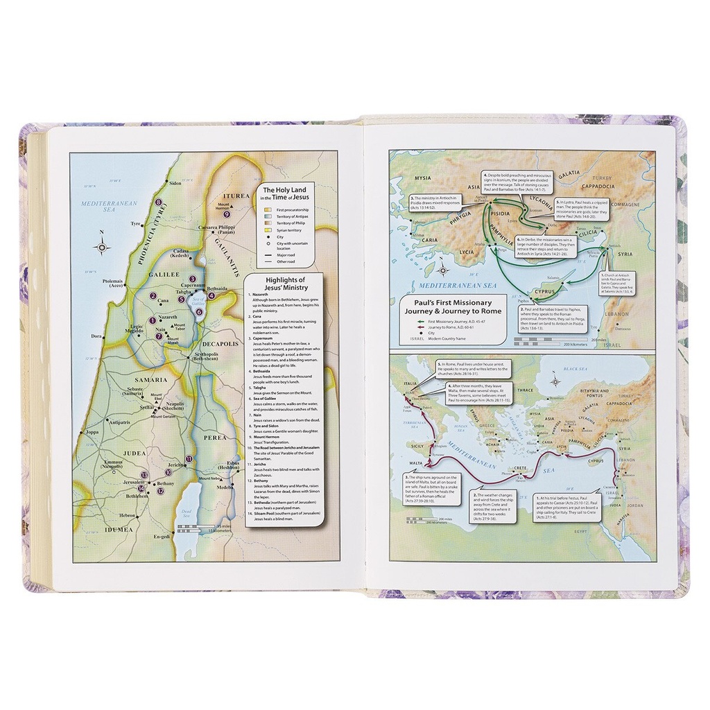 KJV Giant Print Full Size Bible White Floral Gold Foil (08/2