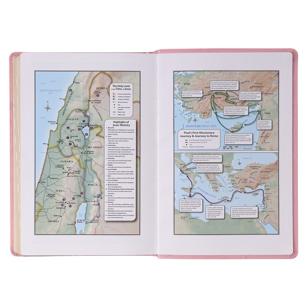 KJV Giant Print Full Size Pink Luxleather