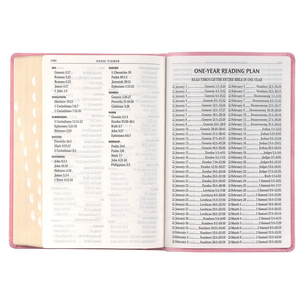 KJV Giant Print Full Size Pink Luxleather