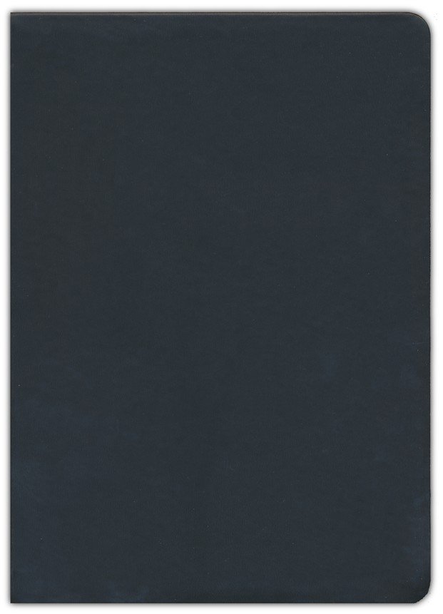 NLT Bible Giant Print Premium Value Filament Black