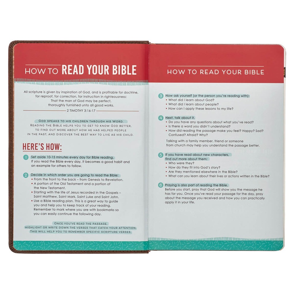 KJV Kids Bible Lion Brown Index