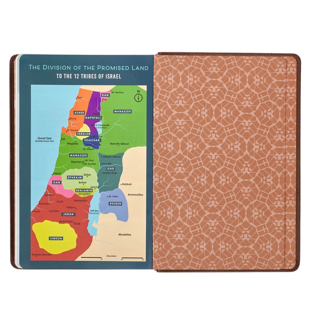 KJV Kids Bible Lion Brown Index