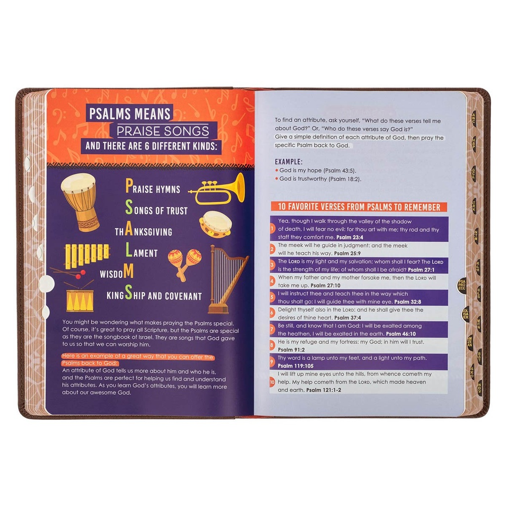 KJV Kids Bible Lion Brown Index