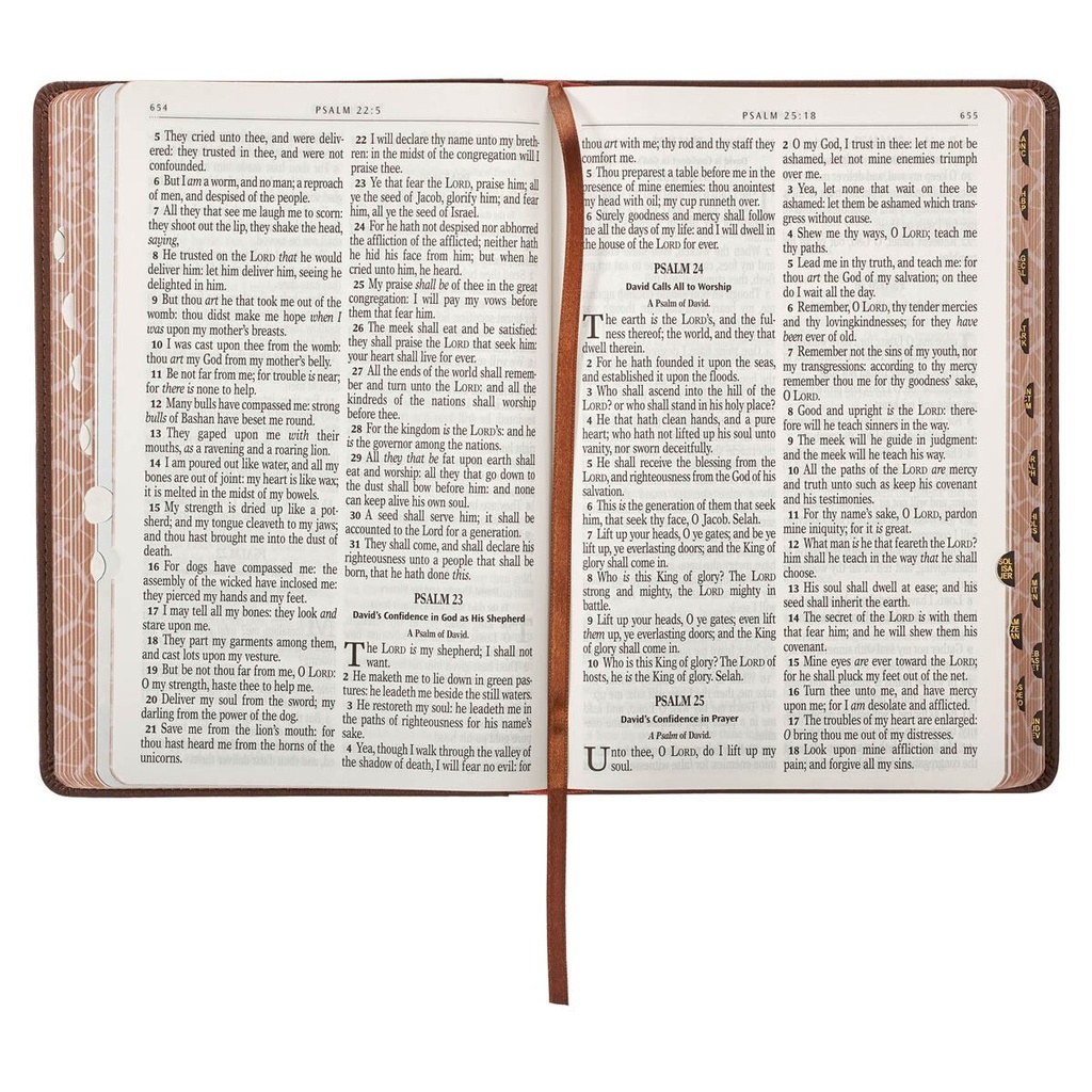 KJV Kids Bible Lion Brown Index