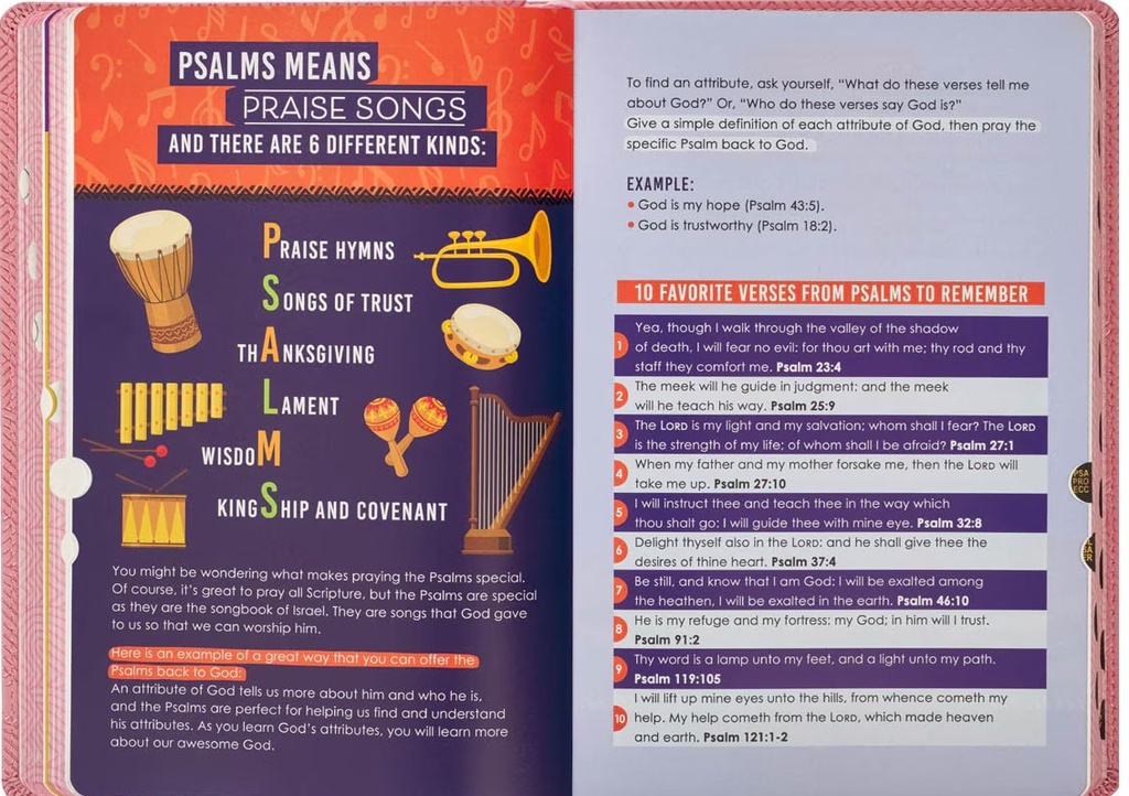 KJV Kids Bible Pink Index
