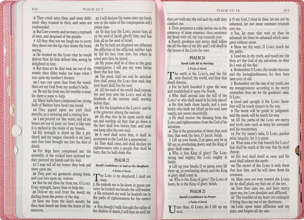 KJV Kids Bible Pink Index