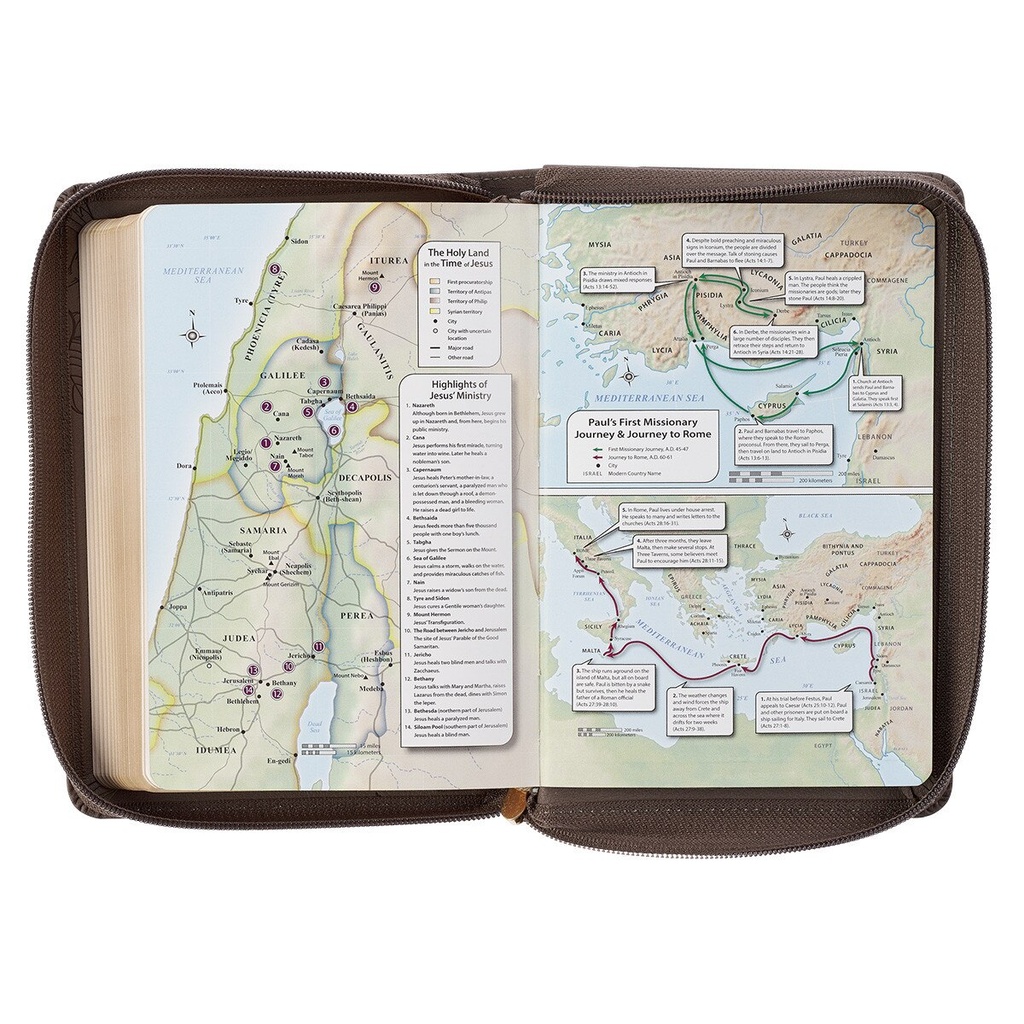 KJV Large Print Compact Tan Debossed