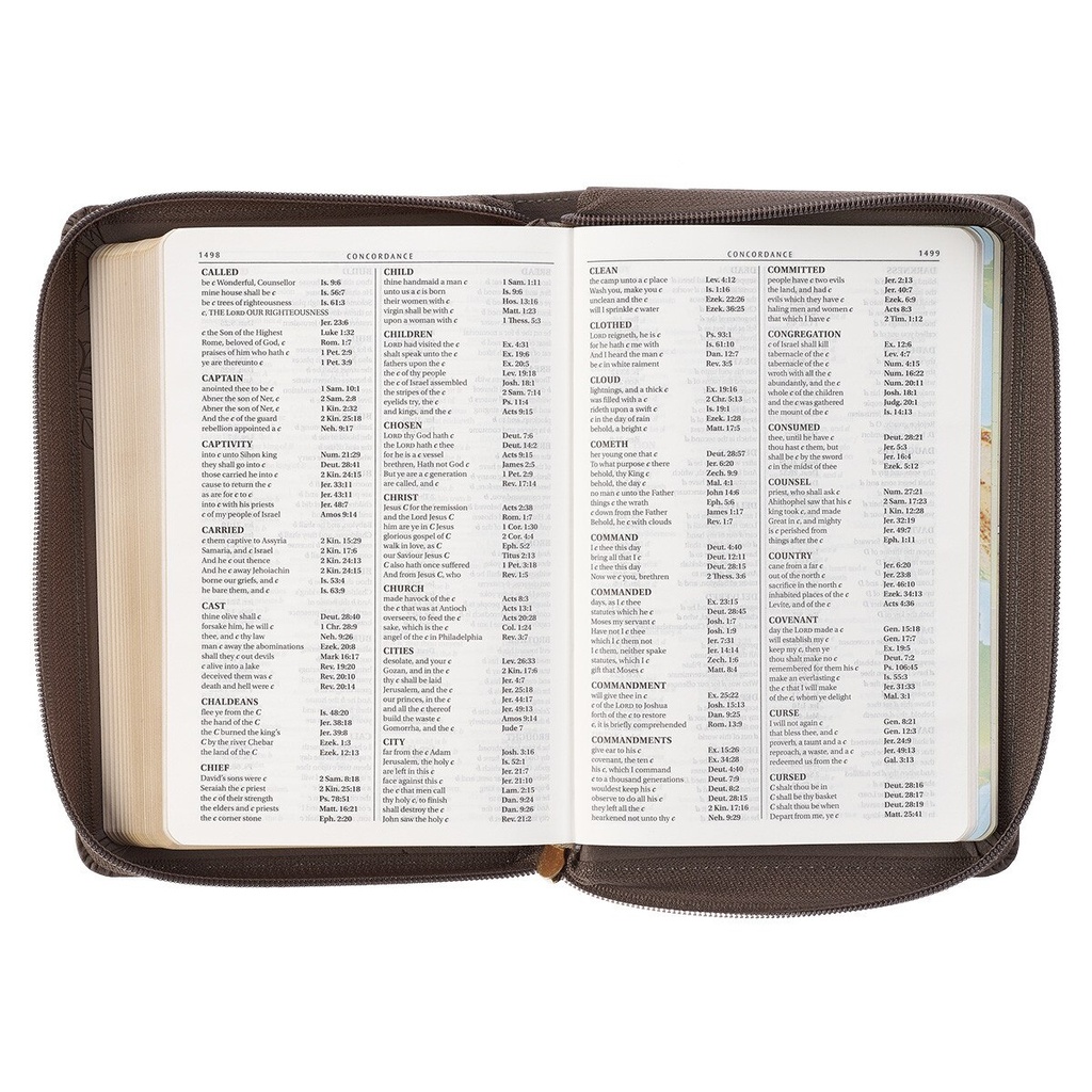 KJV Large Print Compact Tan Debossed