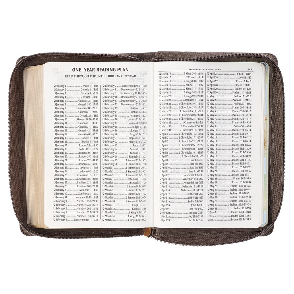 KJV Large Print Compact Tan Debossed