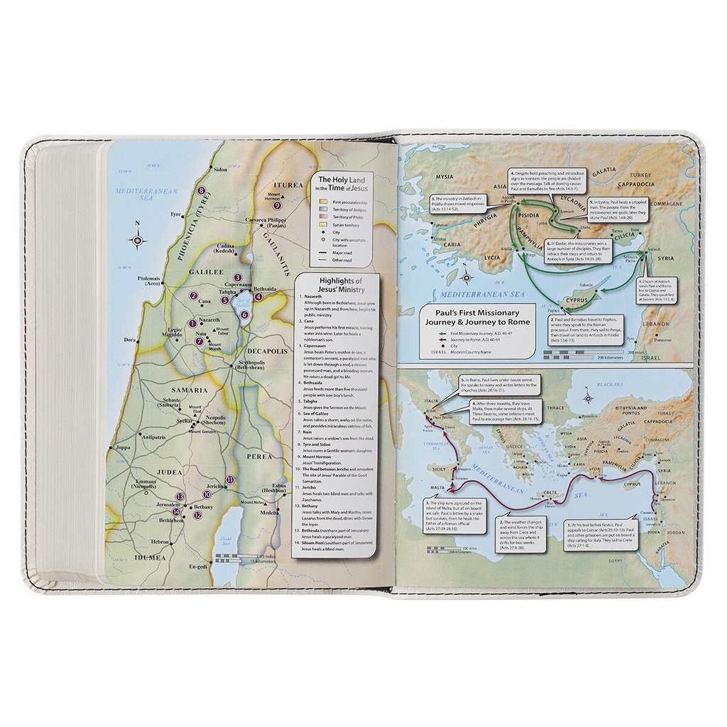 KJV Large Print Compact White Silver Foil Debossed
