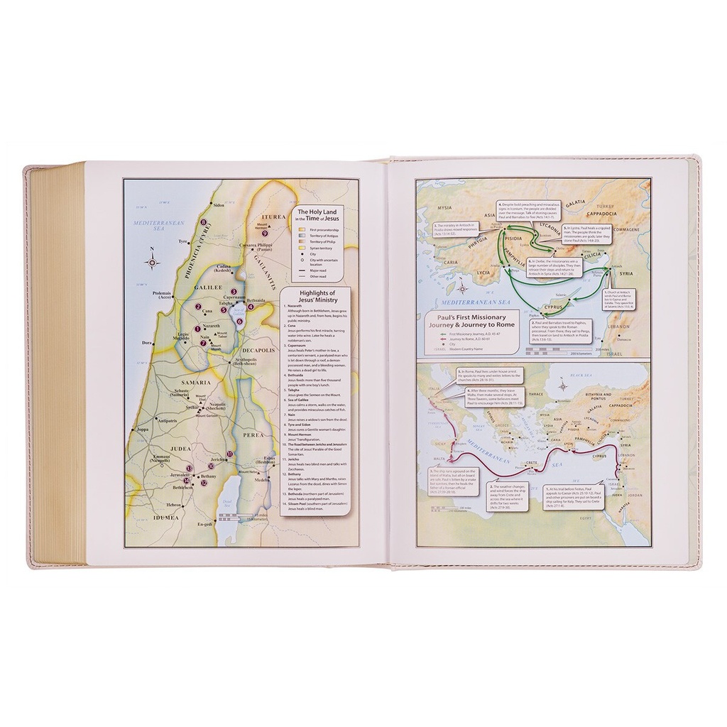 KJV Large Print Note-taking White Print Hardcover