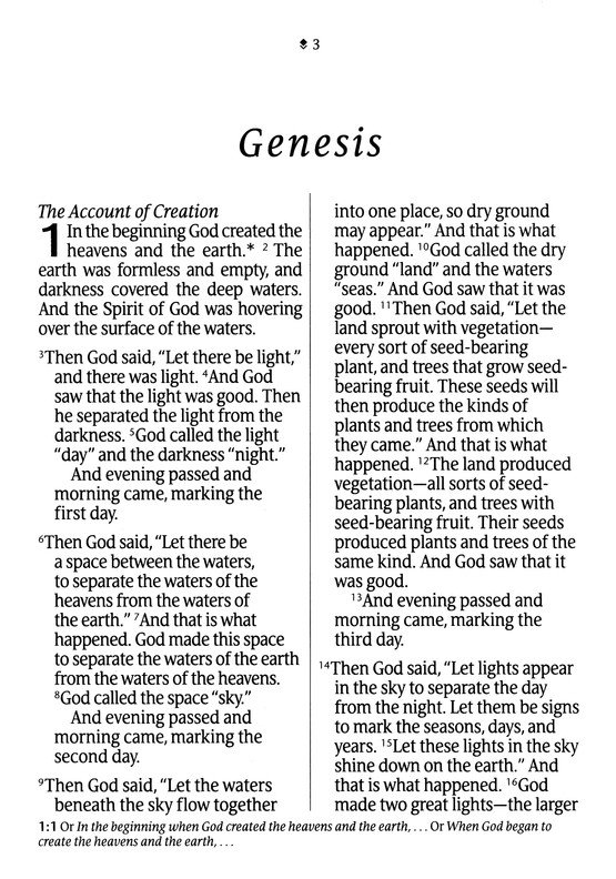 NLT Bible Giant Print Premium Value Filament Lavender
