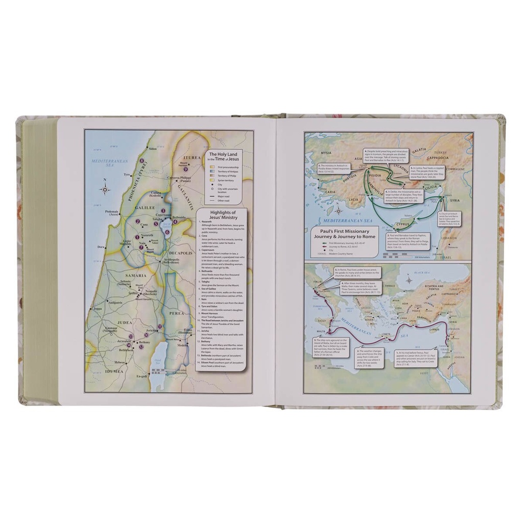 KJV Notetaking Large Print Not My Will Sage Green Floral (01/25)