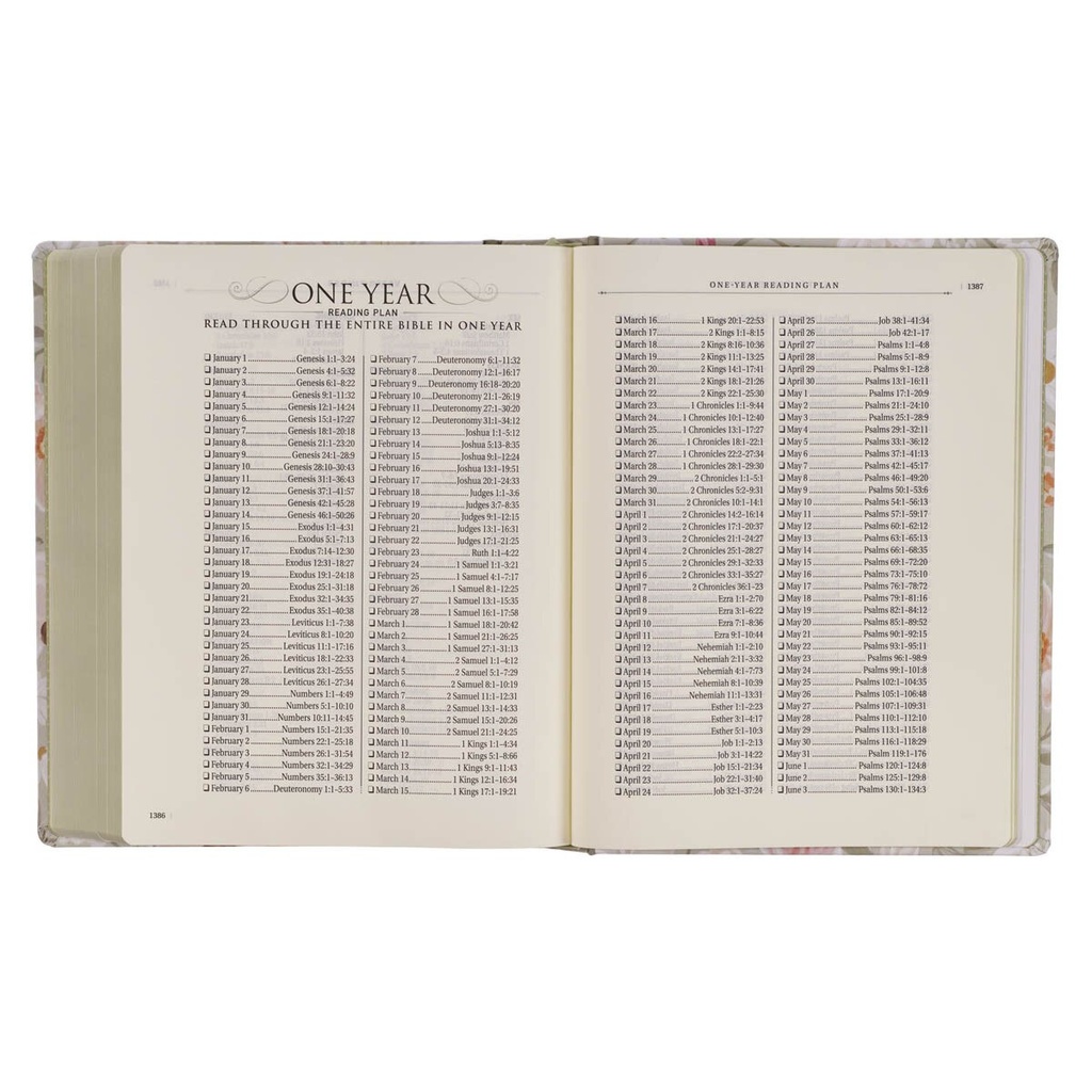 KJV Notetaking Large Print Not My Will Sage Green Floral (01/25)