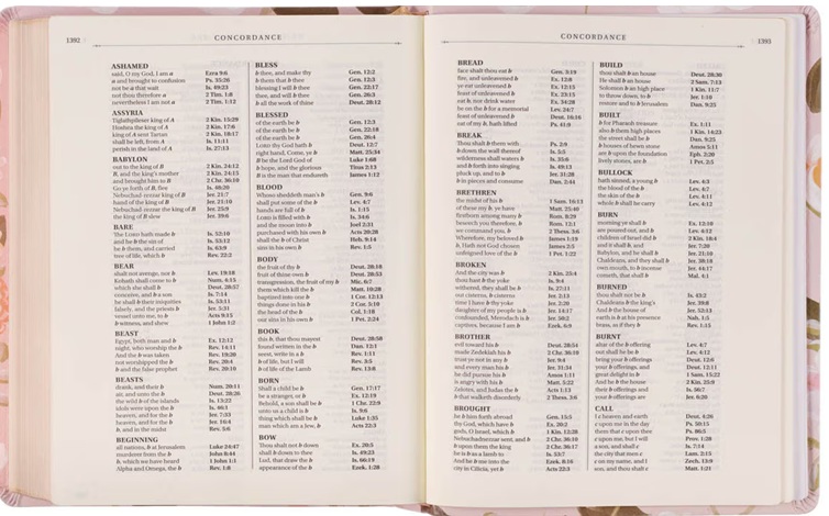 KJV Notetaking Strength & Dignity Peach Floral (01/25)