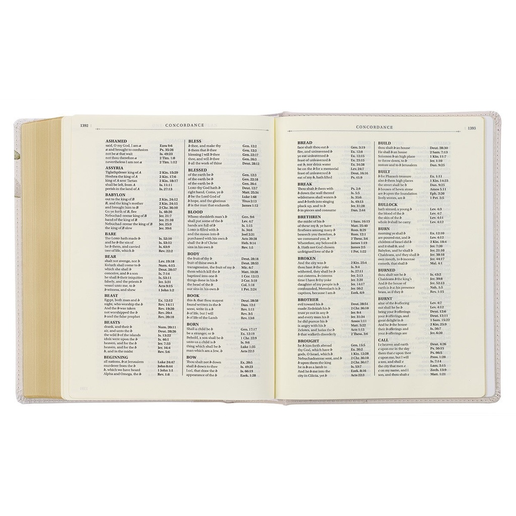 KJV Note-taking TwoTone Ivory Print Hardcover