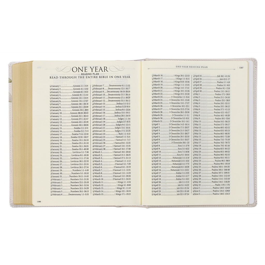 KJV Note-taking TwoTone Ivory Print Hardcover