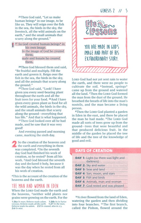 NLT Girls Life Application Study Bible Purple/Teal Flower
