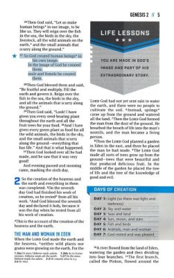 NLT Boys Life Application Bible Neon/Black Indexed