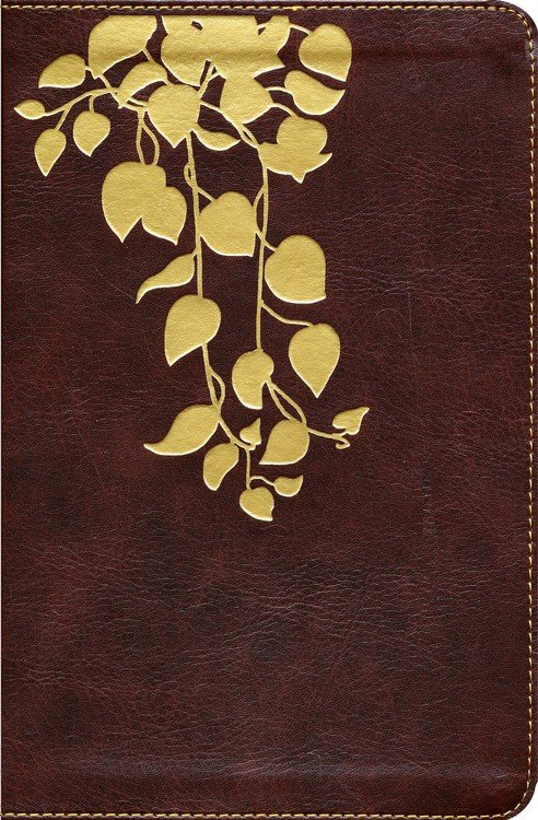 NLT Thrive Devotional Bible For Women Brown Indexed