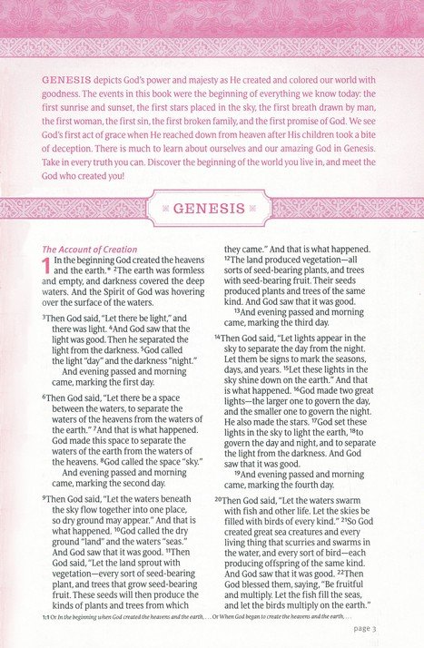 NLT Thrive Devotional Bible For Women Brown Indexed